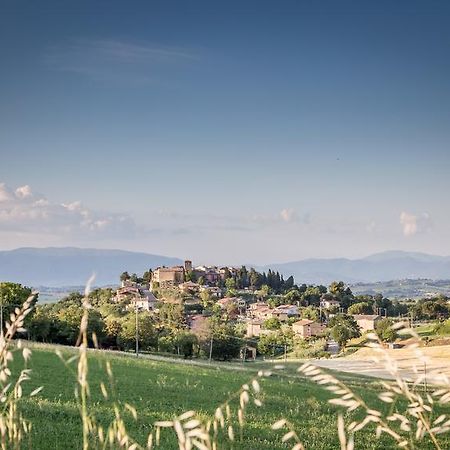 Bed and Breakfast Domus In Castro Montecchio  Екстер'єр фото