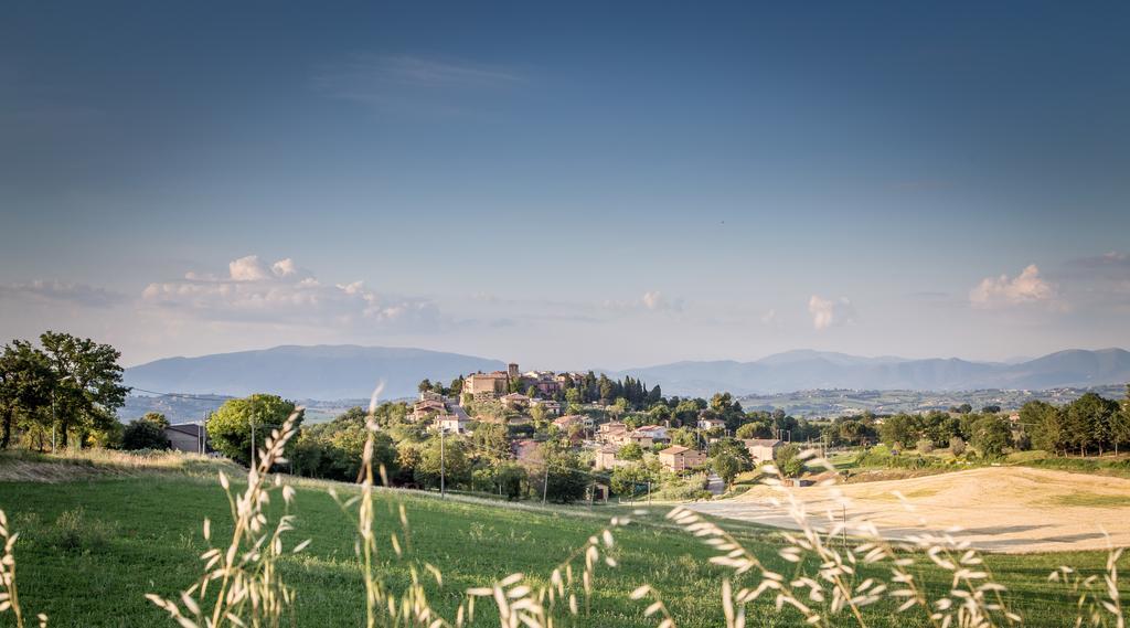 Bed and Breakfast Domus In Castro Montecchio  Екстер'єр фото